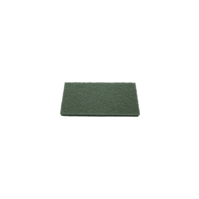 Spugna per scrubber dura | Wirfly